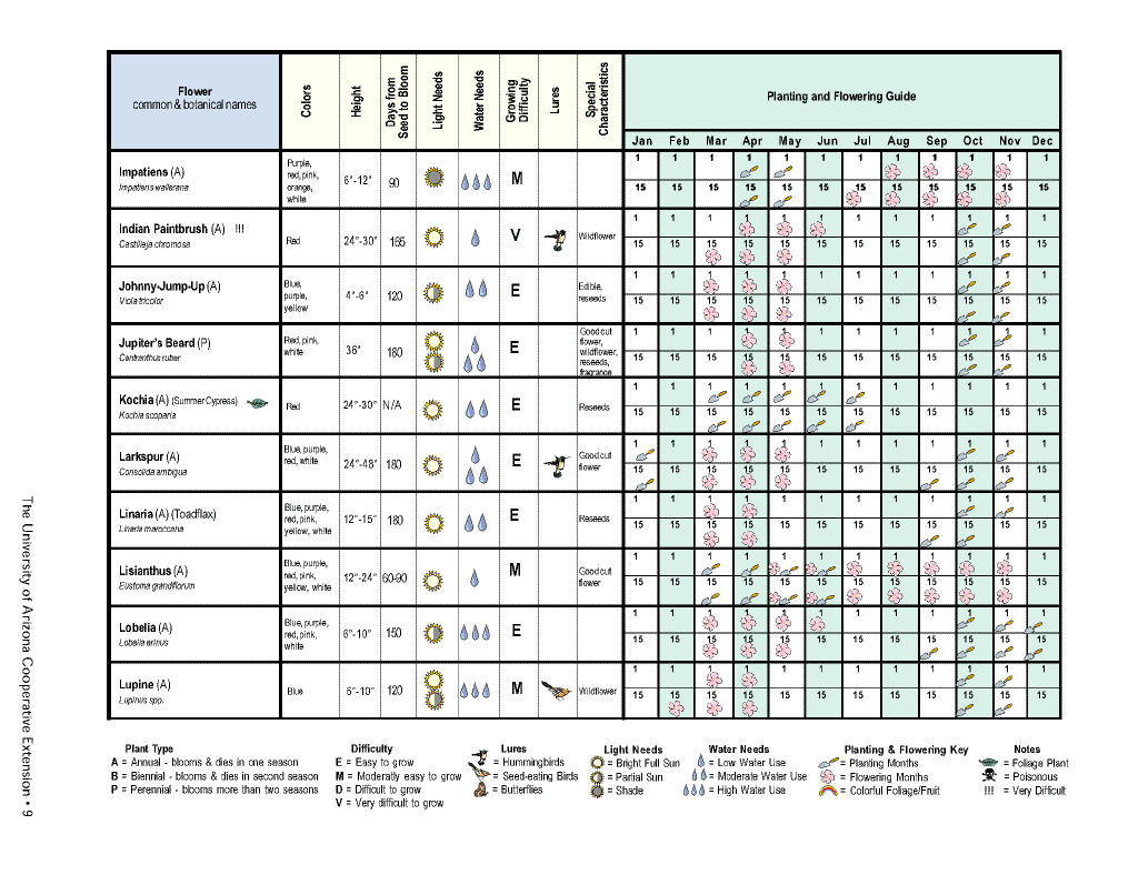 Flower planting calendar09